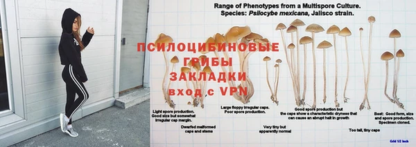 не бодяженный Абаза