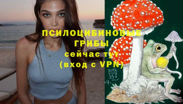 не бодяженный Абаза