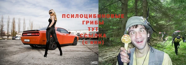не бодяженный Абаза