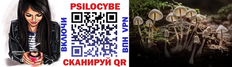 blacksprut рабочий сайт  Чулым  Галлюциногенные грибы MAGIC MUSHROOMS 